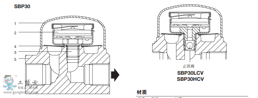 MST21P䓲|(zh)ƽʽ oˮy|˹ɯˮy