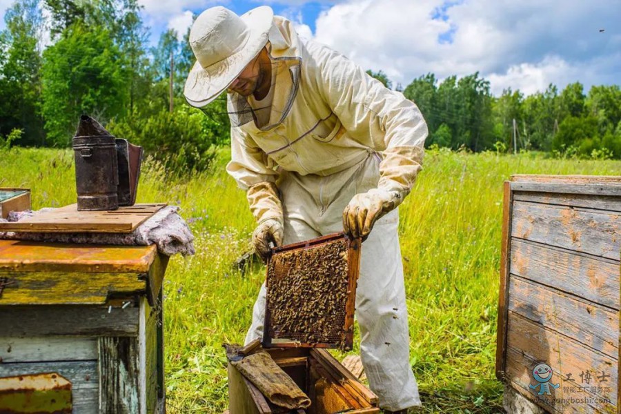 beekeeper